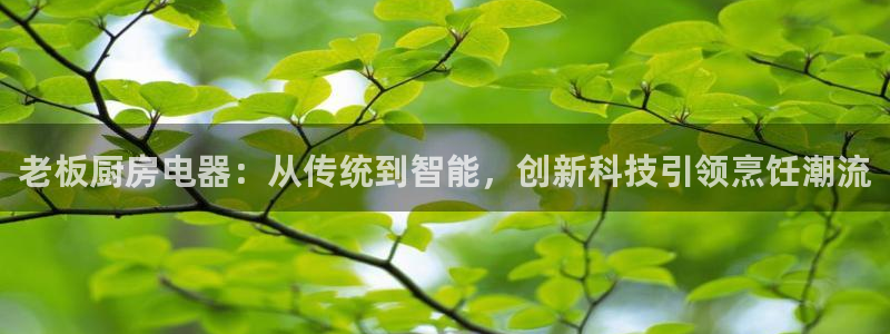 鸿运借款是什么平台