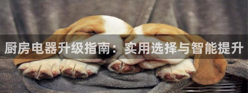 鸿运阿姨直播平台