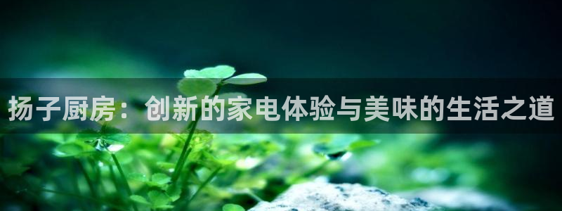 鸿运平台