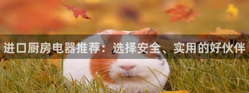 鸿运国际平台咋样