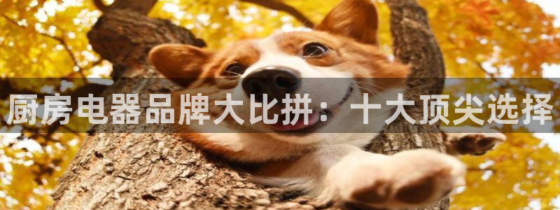 鸿运平台投资诈骗