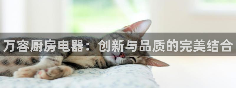 鸿运国际平台平
