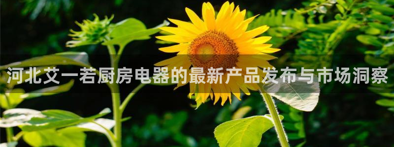 鸿运彩票平台