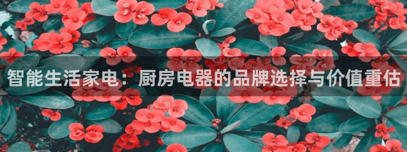 鸿运平台平台