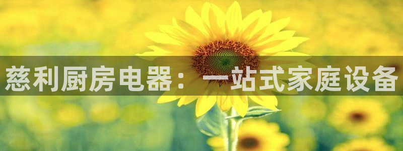 鸿运网上平台