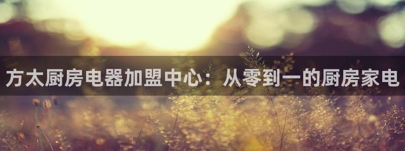 国际鸿运官方平台