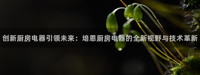 鸿运集团有几个平台