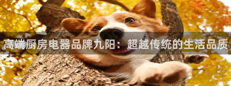 鸿运外贸直播平台