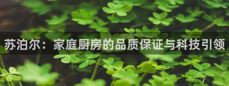 鸿运来补单平台