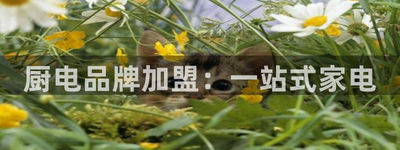 鸿运集团办公平台