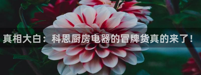 焦作鸿运招人信息平台