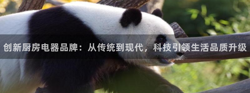 鸿运网平台