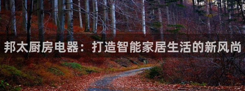 鸿运国际彩票平台