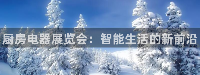 鸿运平台被骗事件