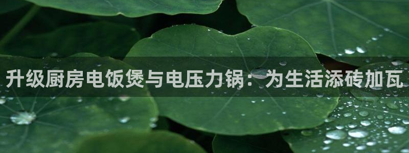 国际鸿运官方平台