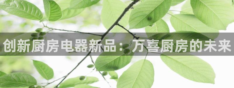 九九鸿运平台