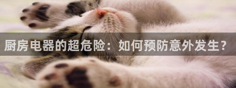 鸿运当头借款平台