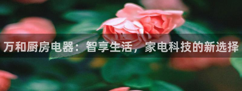 鸿运平台代理理