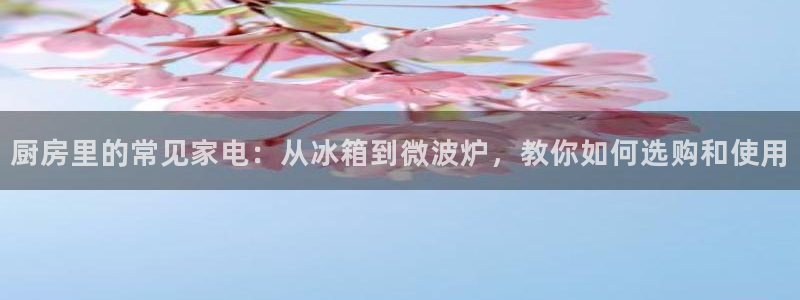 鸿运平台充值