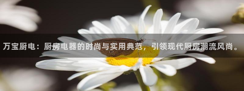 鸿运茶馆平台客服
