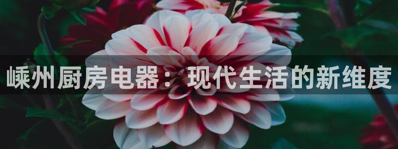 鸿运连连平台