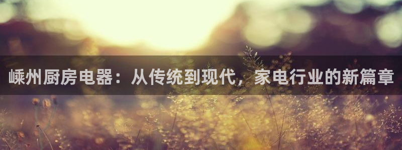 鸿运策略股票平台骗局