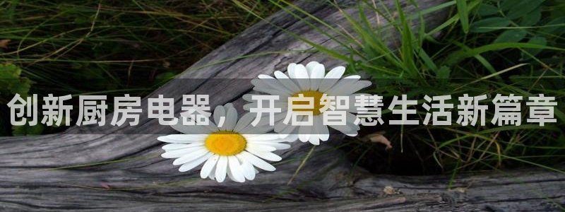 鸿运宝金融投资平台