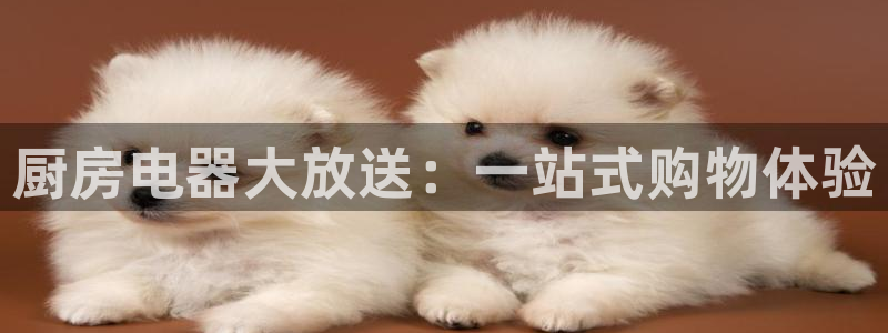 鸿运当头购物平台