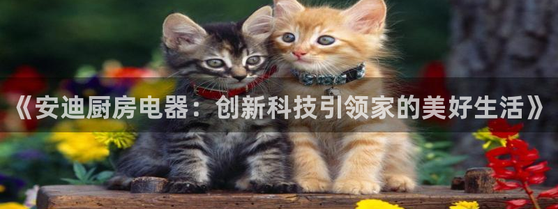 鸿运到平台