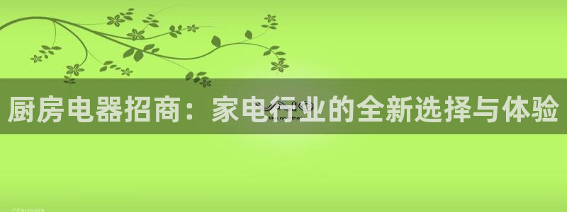 鸿运集团有几个平台