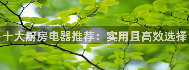 鸿运平台垫付任务