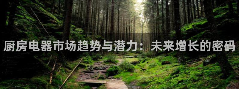 鸿运棋牌app平台