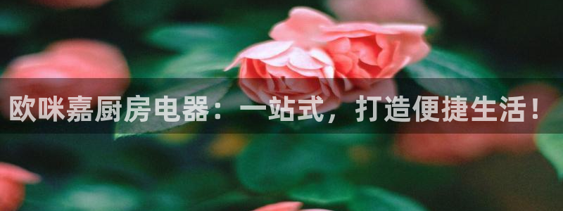 鸿运平台代理平