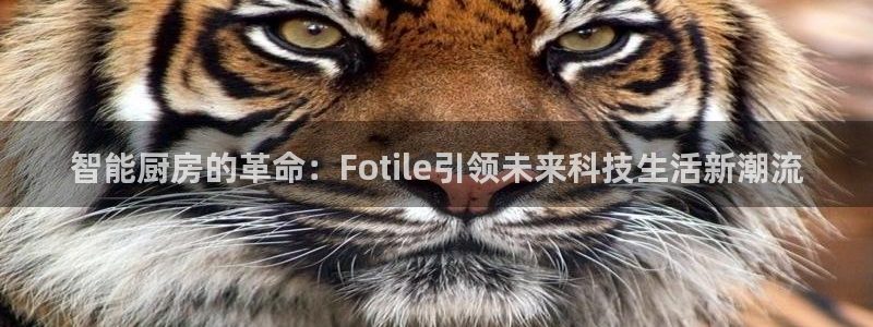 鸿运商会直播平台