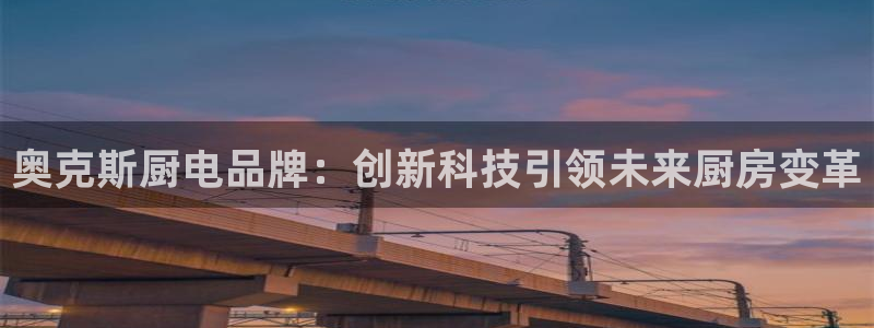 鸿运平台投资诈骗事件