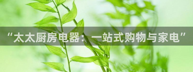 鸿运国际彩票平台