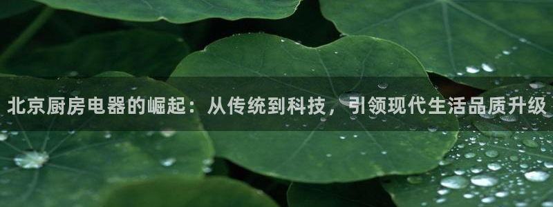 鸿运平台投资诈骗