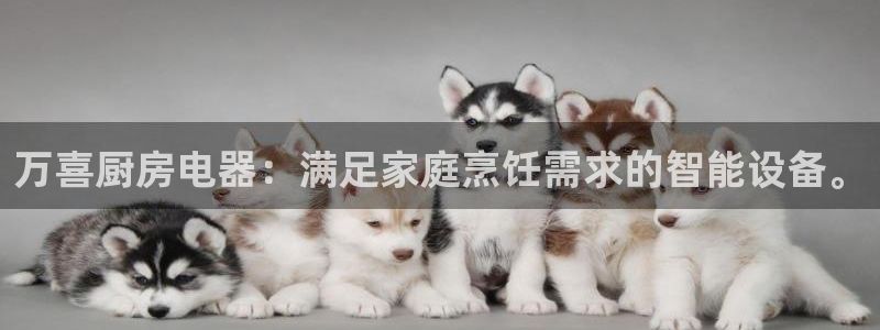 鸿运投资平台是什么平台