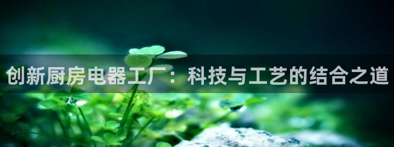 鸿运资本平台被骗