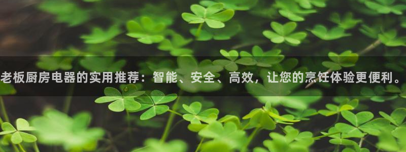 鸿运官网平台