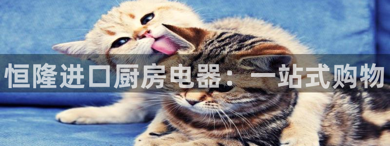 鸿运游戏棋牌平台