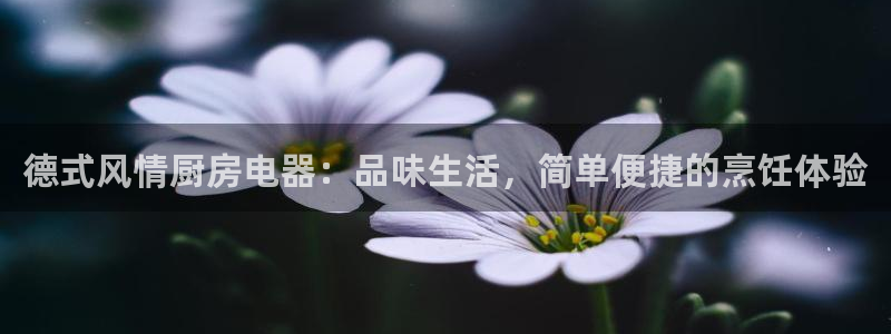 鸿运来手游平台