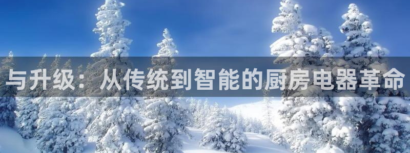 鸿运平台审核需要多久