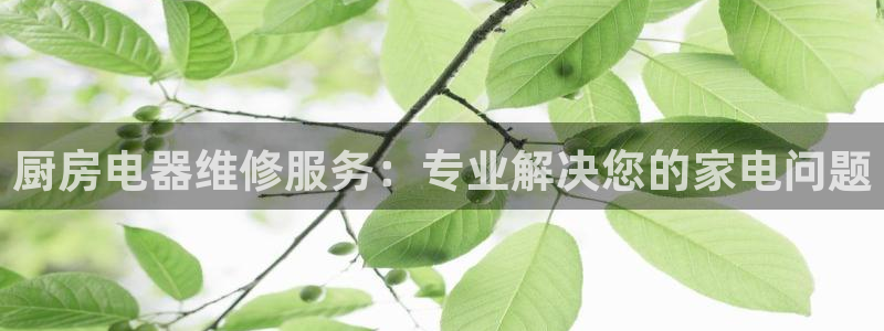 鸿运平台代还骗局