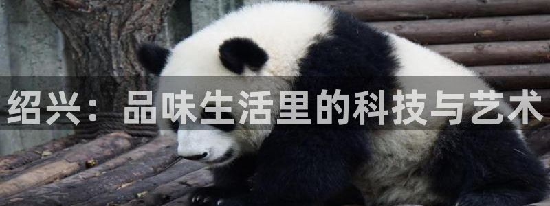 鸿运商会直播平台