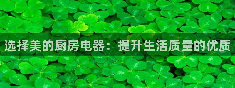 鸿运和拍拍卖平台