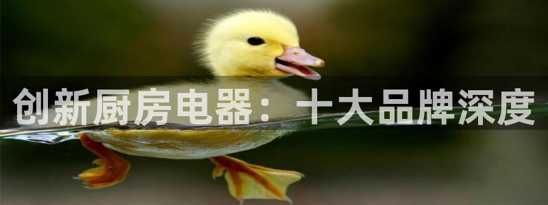 鸿运外汇平台