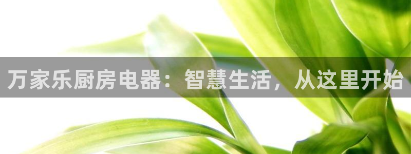 鸿运来平台正规吗