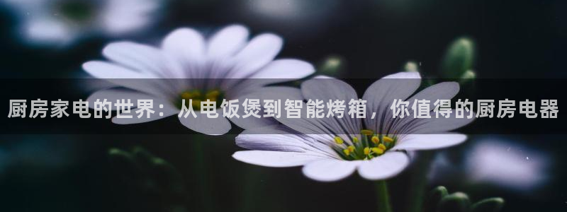 东方阿保鸿运购物平台