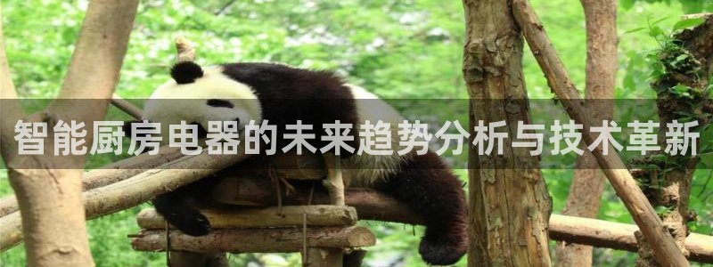 鸿运购是什么平台